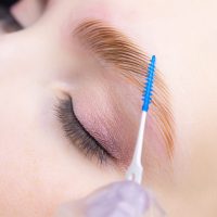 the master combs the eyebrows with a special brush after the eyebrow lamination procedure